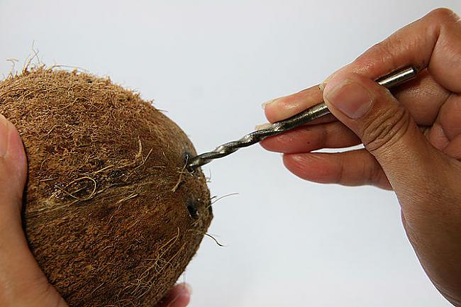 Pie vislielākās quotacsquot... Autors: plunkš Kā iegūt kokosrieksta skaidiņas?