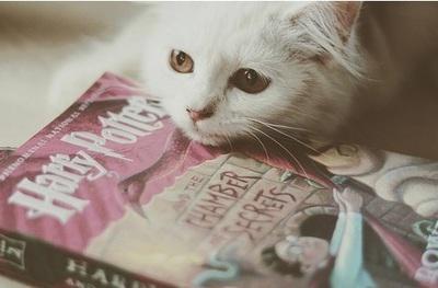  Autors: Anastasija Smile Cat..
