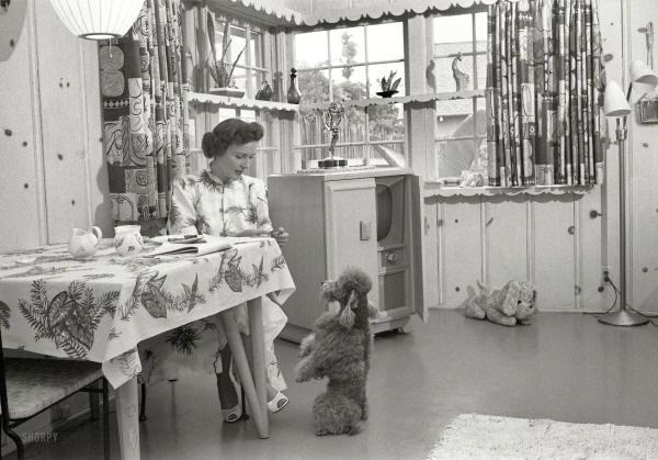 Betty White ar savu suni 1952... Autors: GanjaGod Retas, vēsturiskas bildes 4. daļa