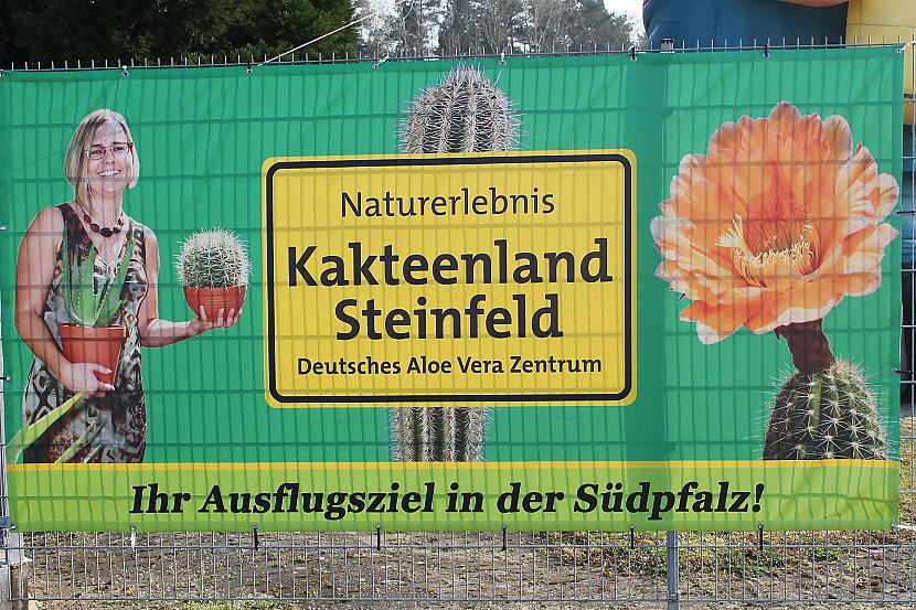Plakāts pie ieejas Autors: Deony Kaktusu pasaule Šteinfeldā