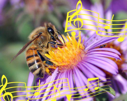 Bites komunikacē ar... Autors: twist Neticami fakti par dzīvniekiem!