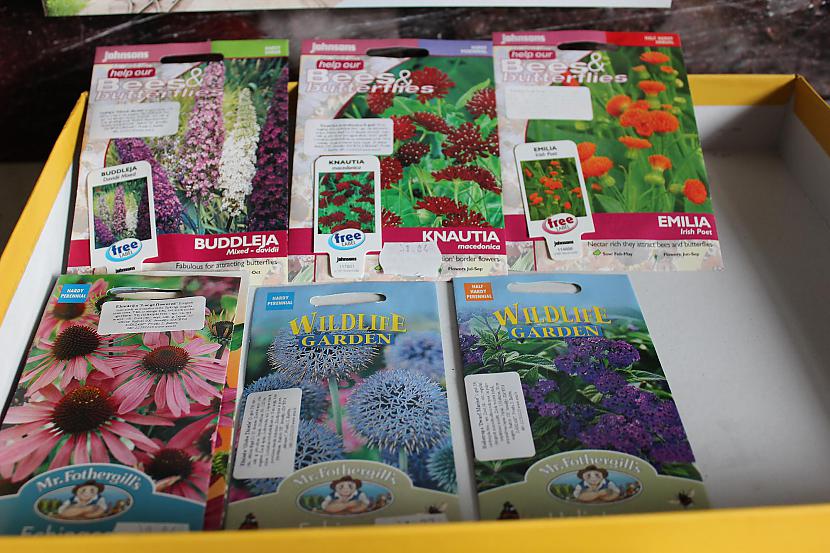 Ežziedes arī skaitās labas... Autors: Werkis2 Augi - tauriņu, bišu, kameņu, ziedmušu u.c. radījumu pievilināšanai.