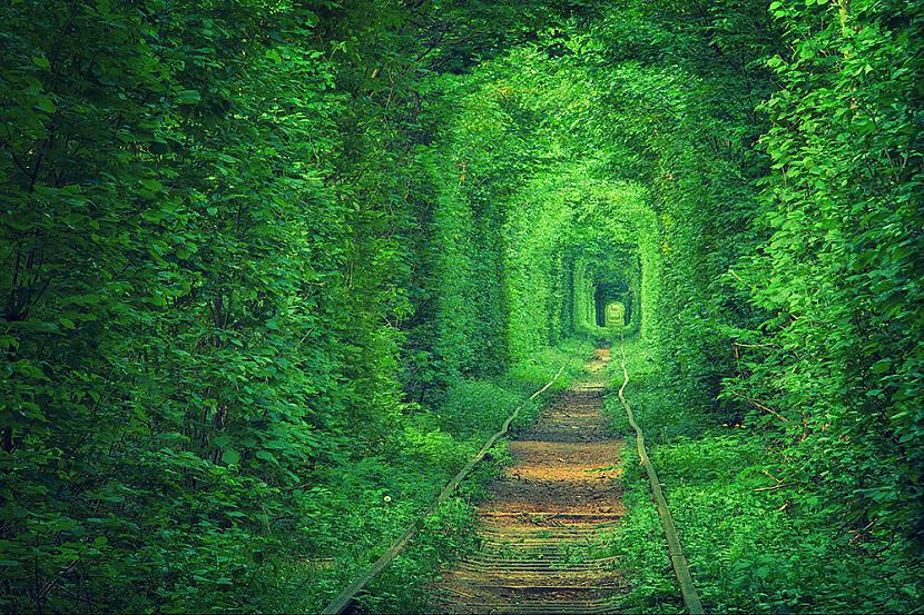 Mīlas tunelis UkrainaTas... Autors: Werkis2 Elpu aizraujošas vietas pasaulē.