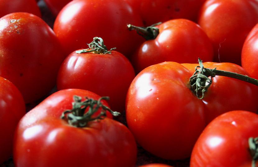 Vienu brīdi tomāti tika dēvēti... Autors: Raacens XXX Fakti!