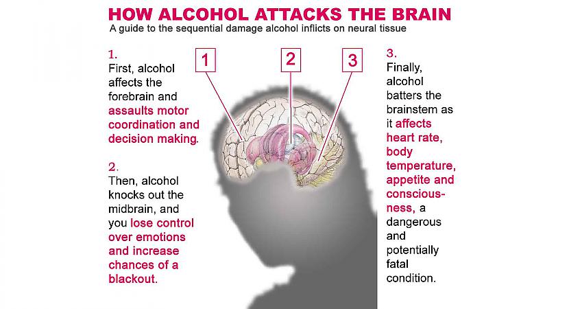 Alkohols nogalina smadzeņu... Autors: MJ Nepatiesi mīti par dzeršanu!?