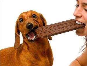 Scaronokolāde sunim var būt... Autors: Fosilija 10 Fakti par jebko...