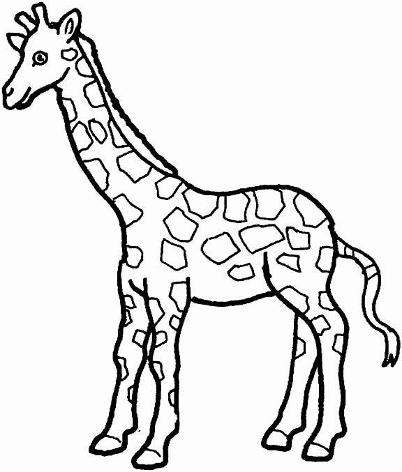 Žirafes agrāk tika sauktas par... Autors: Raacens 18+ WTFakti