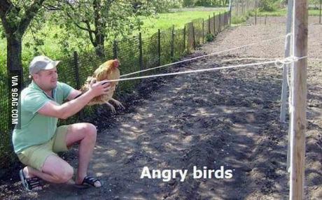 Angry birds in Russia Autors: LittleOsicc Nedaudz smieklu 14  ;D