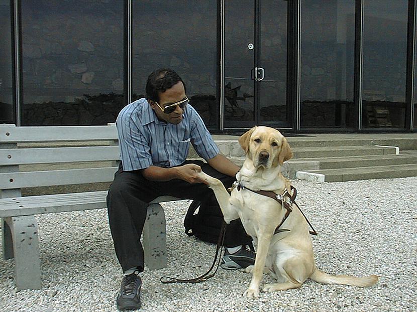 Pirmais aklo vedēja suns ir... Autors: Uldis Siemīte Ļoti neinteresanti fakti. Labāk nemaz nelasi.