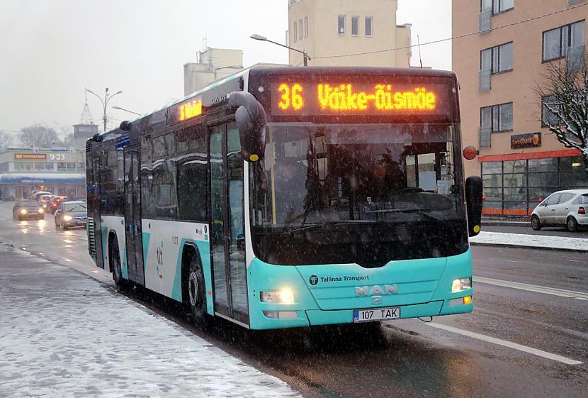 MAN A78 Lions City LE Autors: bobija Pilsētas transportu Tallinā (departaments Mustamäe)