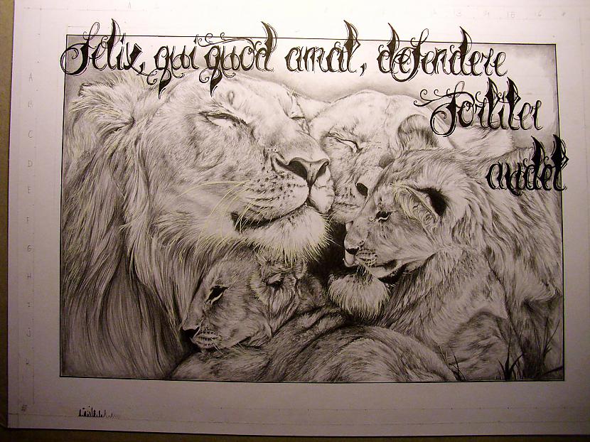 Uzraksts ir tapis latīņu... Autors: Ostina Zīmējums - Lauvas