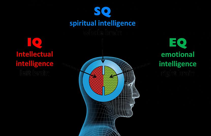 Es esmu inteliģences dievs Autors: Fosilija Fakti par lielais kucens