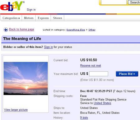 Dzīves jēga Tu jūties vientuļs... Autors: Man vienalga 9 sliktākās izsoles eBay vēsturē! #2