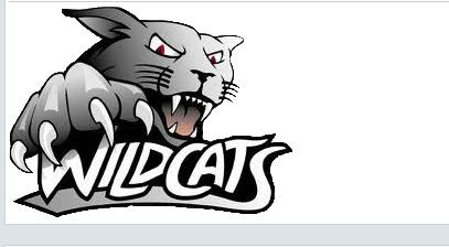 Oslo Wild Cats... Autors: Melnais Krauklis Latvijas Simulētā Hokeja Līga (komandu un līgas logo)