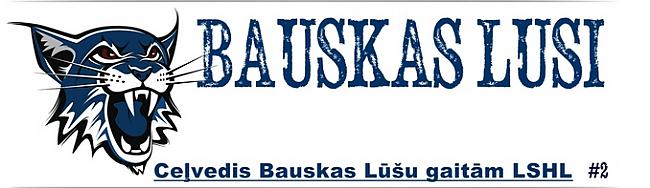 Avīzes redektors... Autors: Melnais Krauklis Latvijas Simulētā Hokeja Līga ( pēdējo jaunumu apskats)