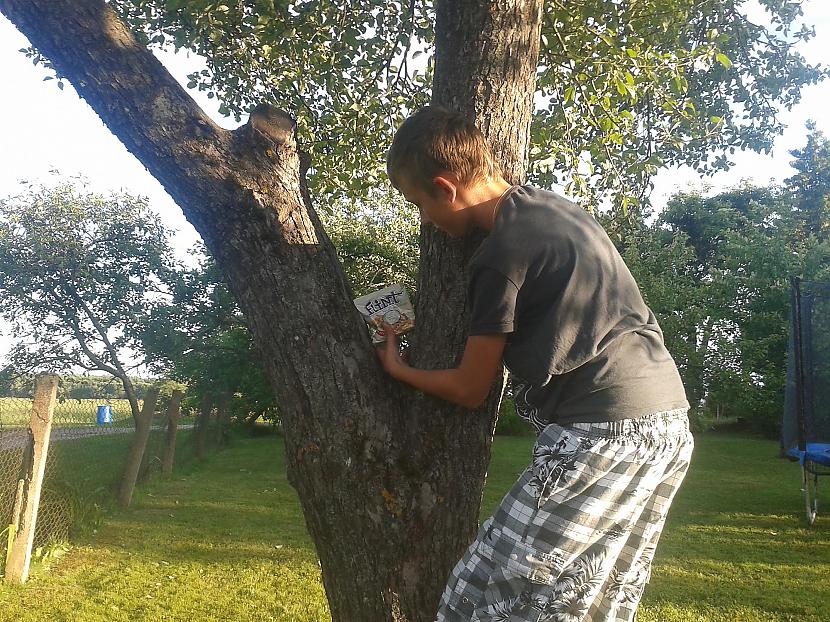  Autors: mmarciss rāpjos kokā pakaļ flintam.