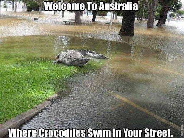 Kad uznāk lietus tie izlien kā... Autors: Moonwalker Kādēļ Austrālija ir bīstamākā vieta uz pasaules?