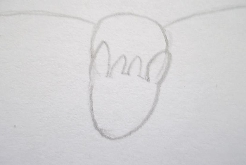 Pamazām izzīmēsim galvu Sākam... Autors: vienpadsmitgadniece Kā zīmēt: lidojošs tumsējs fūrijs.