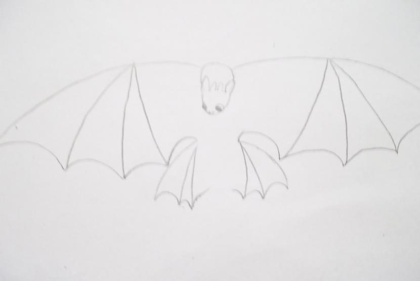 Līdz galam uzzīmējam astes... Autors: vienpadsmitgadniece Kā zīmēt: lidojošs tumsējs fūrijs.