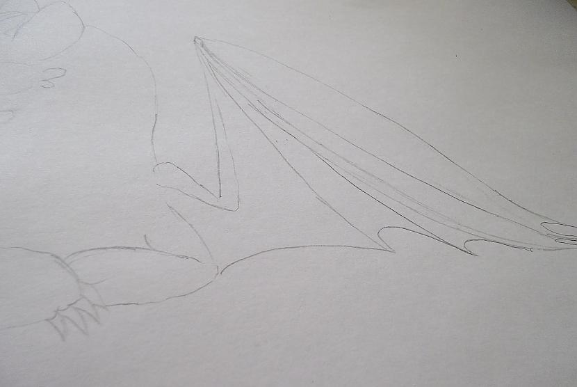 Labajā spārnā tagad atdalam... Autors: vienpadsmitgadniece kā zīmēt: tumsējs fūrijs
