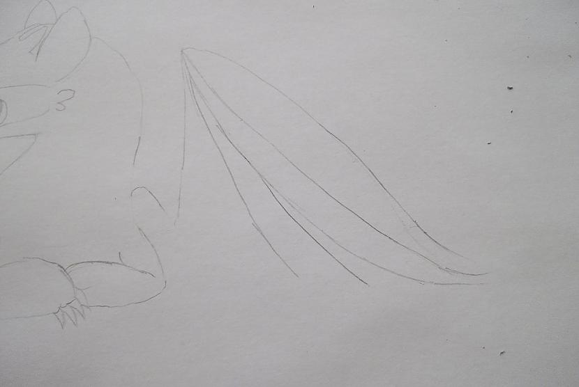 Vispirms izzīmēsim labo spārnu... Autors: vienpadsmitgadniece kā zīmēt: tumsējs fūrijs