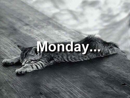 Pirmdienas vienmēr ir... Autors: andackaa Fml