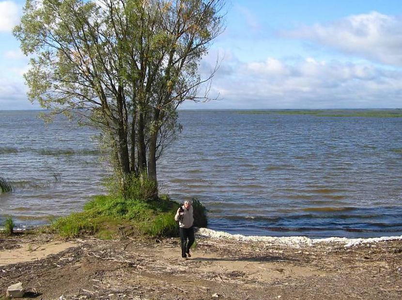 1 Lielākais ezers... Autors: kriska14 Fakti par Latvijas ezeriem!