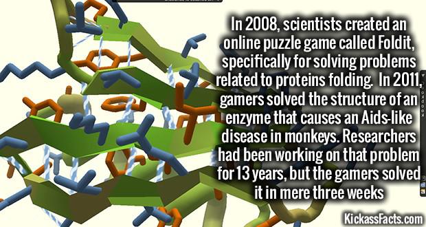 2008 Gadā zinātnieki izveidoja... Autors: Šimpandze88 Daži interesanti fakti.