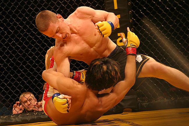  Autors: Samurajs2012 MMA (Bildes)