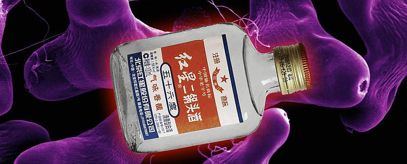 Baidžu ĶīnaĶīniescaroni... Autors: Raziels Pasaules ugunīgākie dzērieni