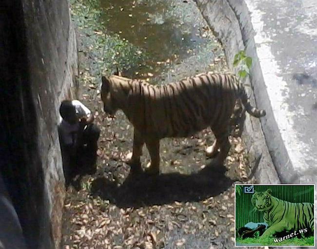 Pusaudzis 23 septembrī otrdien... Autors: ORGAZMO Indijas zoodārzā traģēdija!