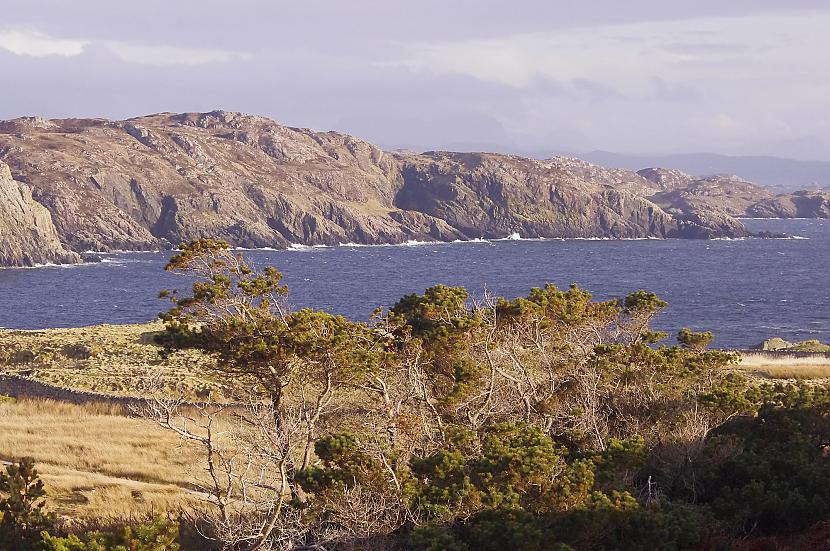 Uz salas nav īsti meža ir... Autors: AnotherShe Manas mīļākās salas Skotijā – Handa