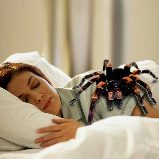 Bailes no zirnekļiem bieži... Autors: Fosilija 10 Visbiedējošākās lietas