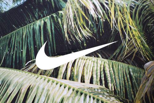  Autors: avici Nike