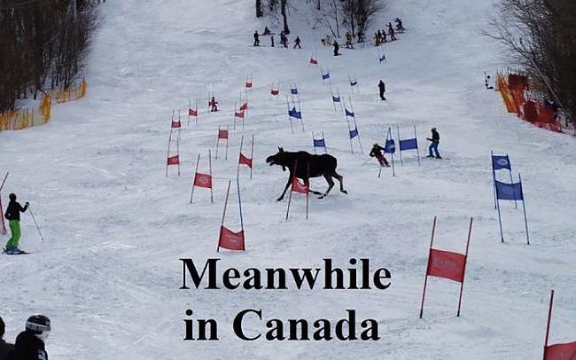  Autors: murmulis112 Only in Canada!!!!!!!