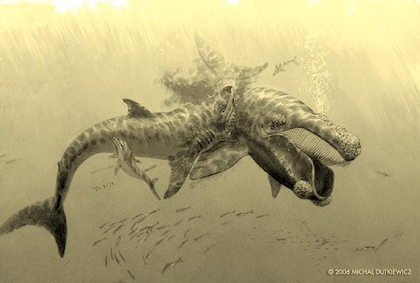 nbsp Megalodons uzturā lietoja... Autors: Mao Meow Megalodons – Lielākā haizivs kāda peldējusi pa okeāniem.