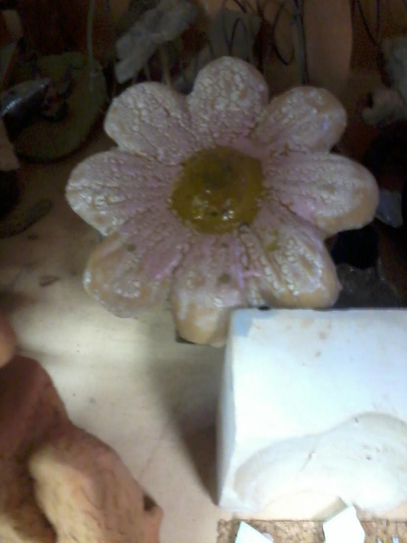 Mana puķīte Taisīta 14 gada... Autors: Gmonster Mani darbiņi