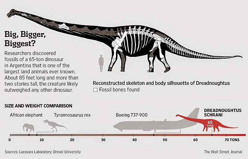 nbsp nbspLielākais zināmais... Autors: Mao Meow Titanozauru klase – pasaules lielāka dinozauru klase.