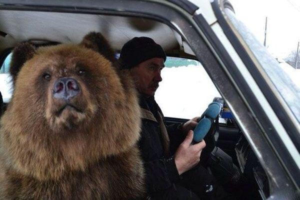  Autors: Hello Pastaigā lāci šorīt izvedi !!!