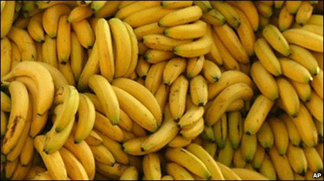 Pārtikā labāk lietot gatavus... Autors: paradisegirl 20 interesanti fakti par banāniem