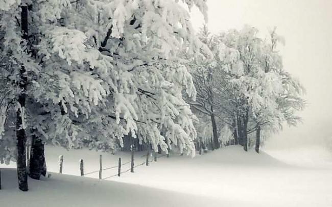  Autors: Hello Balts un pūkains ziemas noskaņai.