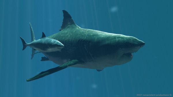 Spriest par to vai megalodoni... Autors: hencijs Megalodons – viedoklis…