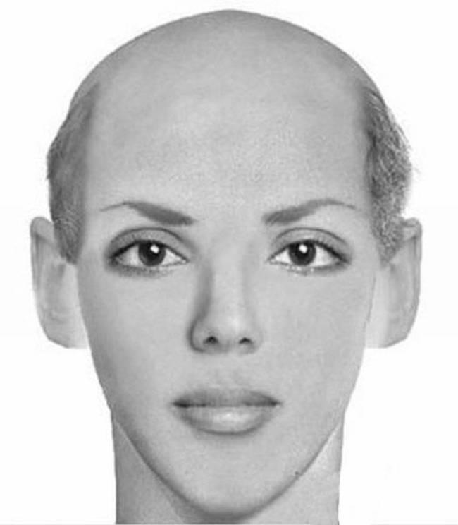 Фоторобот девушки. Дженнифер Лоуренс фоторобот. Самая красивая девушка фоторобот. Фоторобот идеальной женщины. Классическая красота женщины черты лица фоторобот.