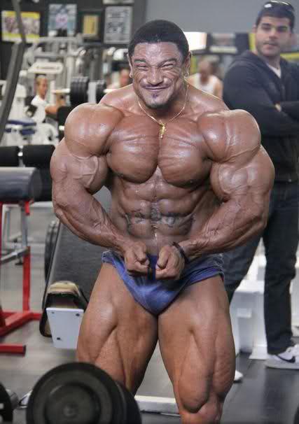  Autors: Stallion Roelly Winklaar.