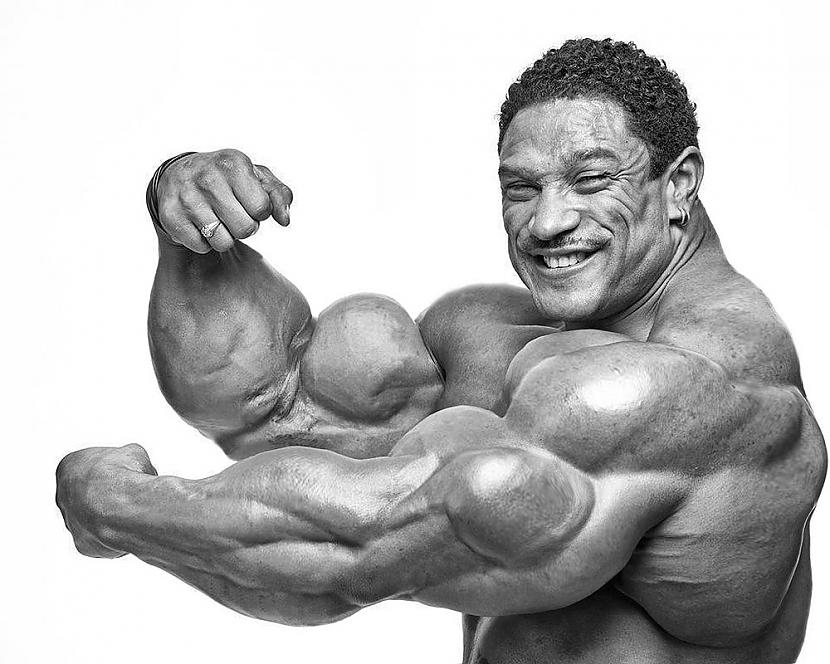  Autors: Stallion Roelly Winklaar.