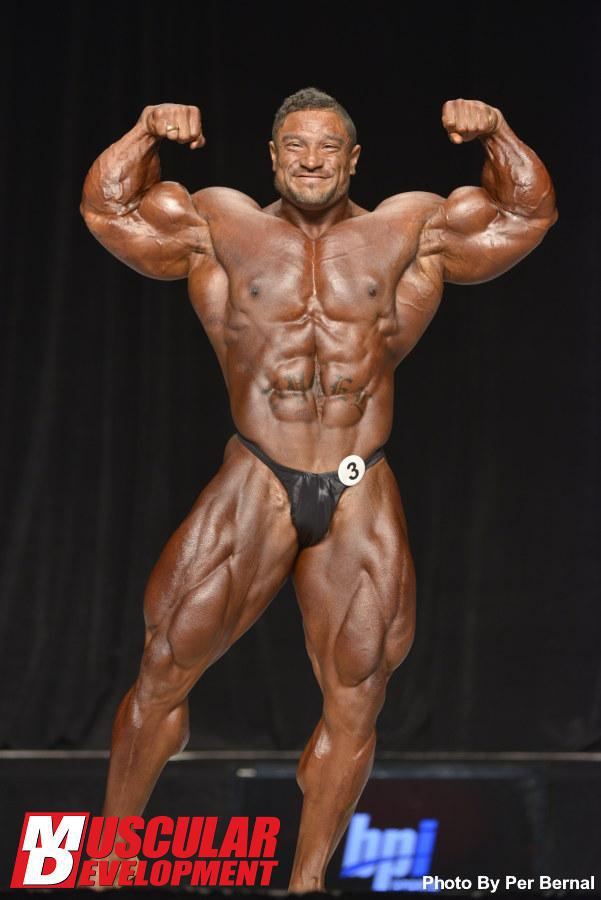  Autors: Stallion Roelly Winklaar.