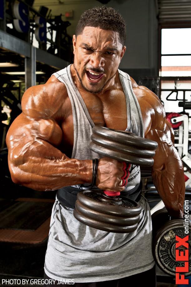  Autors: Stallion Roelly Winklaar.