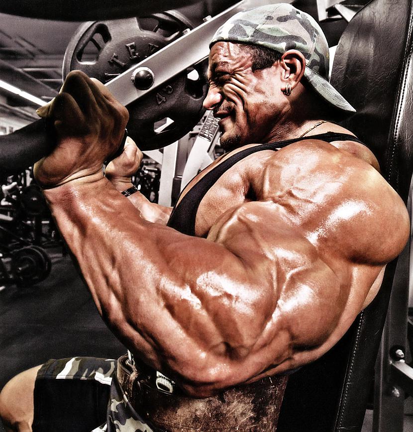  Autors: Stallion Roelly Winklaar.