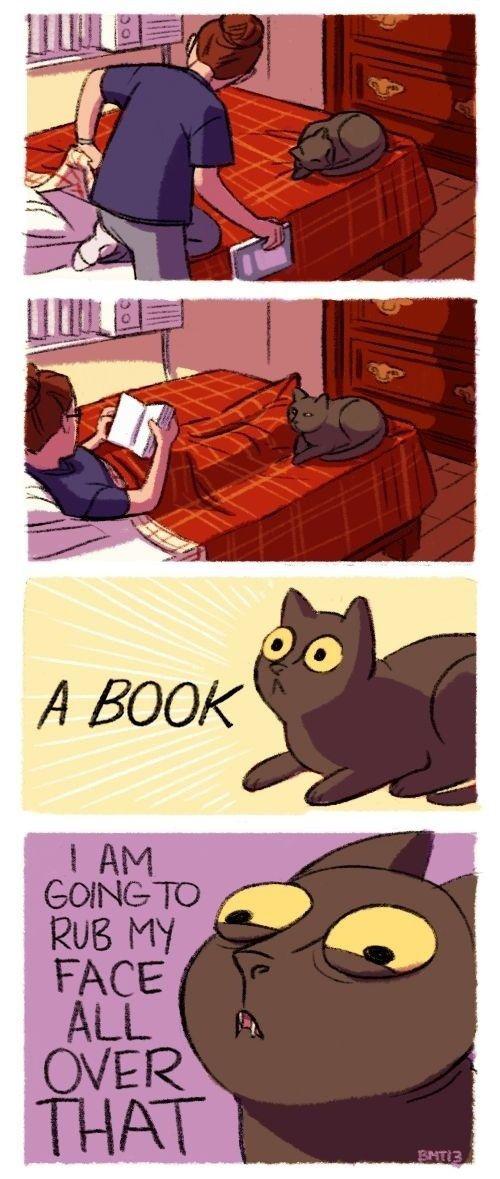  Autors: Vampire Lord Kaķu īpašnieki sapratīs.