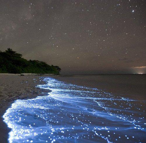 Vaidaho sala Maldīvas Spīdīgs... Autors: Fosilija Braucam ceļojumā?